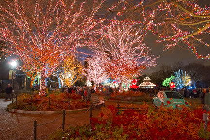 Lincoln Park Zoo to transform into winter wonderland during the 19th annual ZooLights Presented by ComEd and Charter One