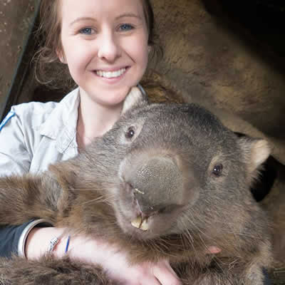 29 year old wombat virgin Patrick received 258k 'likes' helping Tourism Australia's Facebook page reach six million fans