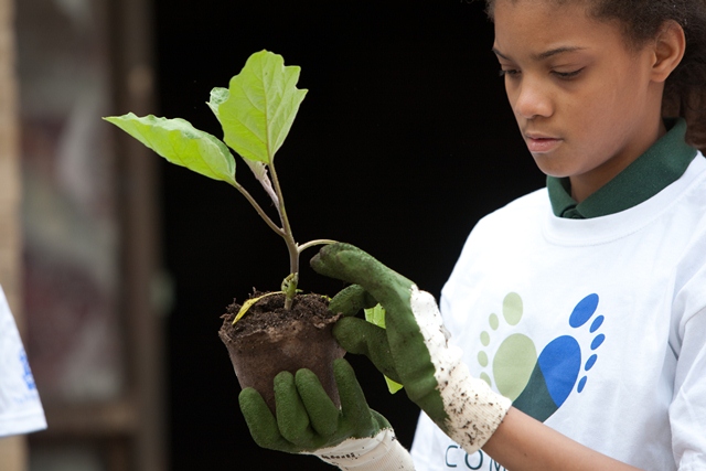 The Ritz-Carlton Hotel Company becomes the first Founding Partner of IMPACT 2030: The Global Initiative for the Advancement of Corporate Volunteering