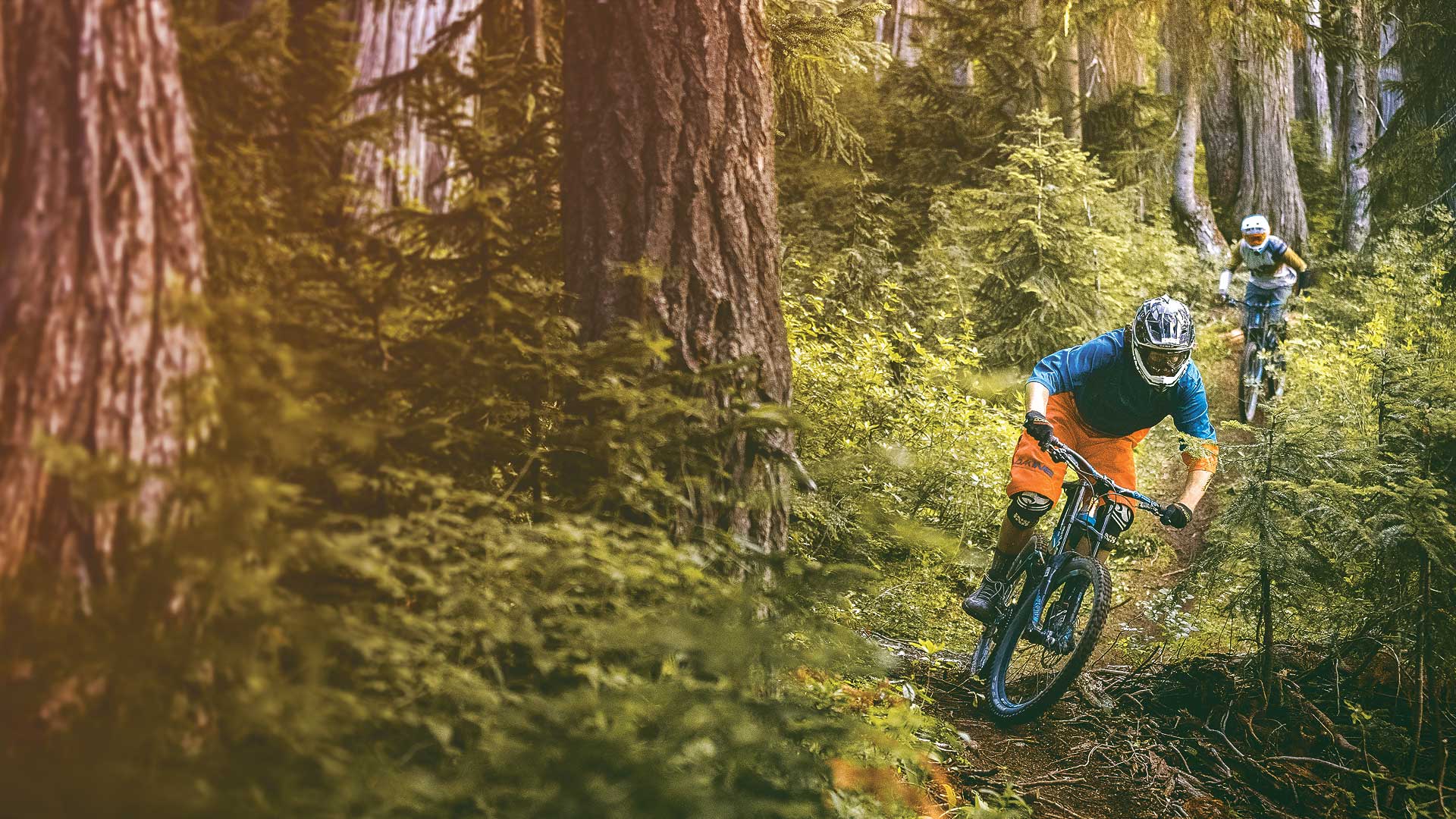 Whistler Mountain Bike Park to open to riders for the 2016 season on May 20