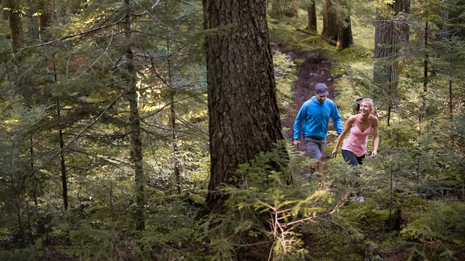 Whistler Blackcomb announces new uphill hiking experience, The Blackcomb Ascent Trails 