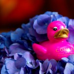 Conrad Macao, Cotai Central will be launching a series of ‘pink experiences and collectibles’ from October 1, till November 30, 2012, in support of the Hong Kong Cancer Fund’s Pink Revolution. Credit: Conrad Hotels & Resorts.