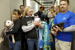 Hurricane Sandy Animals Flown To Safe Haven On Southwest Airlines Charter