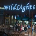 Saint Louis Zoo - U.S. Bank Wild Lights