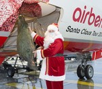 Christmas trees transported free of charge with airberlin