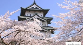 Agoda.com offers great Tokyo hotel deals for the colorful cherry blossom season