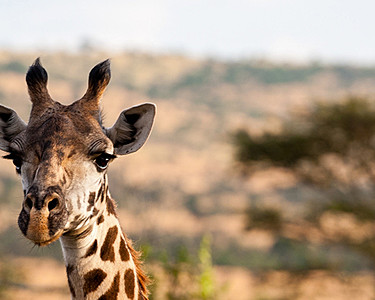 Discovery Centre to Open at Four Seasons Safari Lodge Serengeti, Tanzania