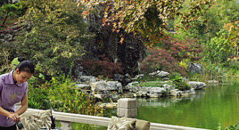 Experience the essence of longjing at Four Seasons Hotel Hangzhou at West Lake