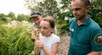 Bioblitz event at Castle Campbell and Dollar Glen Scotland