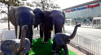 Family of four life-size elephant statues land on Liverpool John Lennon Airport