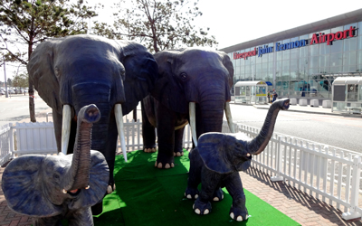 Family of four life-size elephant statues land on Liverpool John Lennon Airport