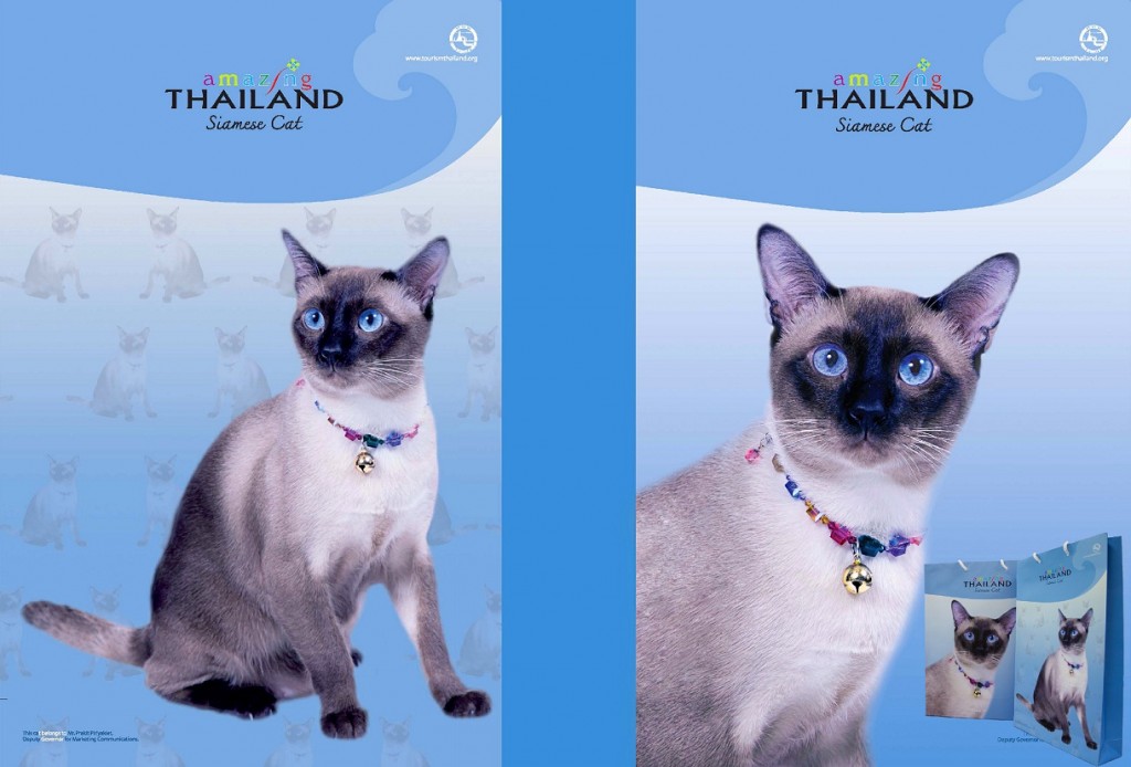 Tourism Authority of Thailand rolled out promotional Amazing Thailand Siamese cat paper bags to promote its “Thainess” concept