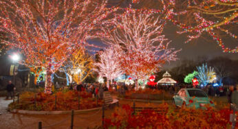 Lincoln Park Zoo to transform into winter wonderland during the 19th annual ZooLights Presented by ComEd and Charter One