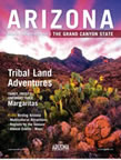 travel assignments in arizona
