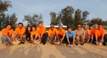 90 young sea turtles released during the 20th Laguna Phuket Sea Turtle Release Ceremony on 21 February, 2014