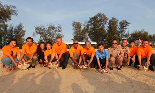 90 young sea turtles released during the 20th Laguna Phuket Sea Turtle Release Ceremony on 21 February, 2014