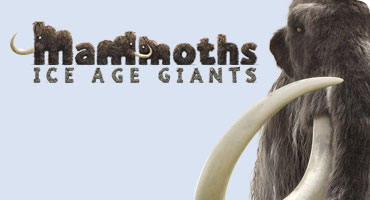 The monumental Mammoths: Ice Age Giants exhibition at the Natural History Museum