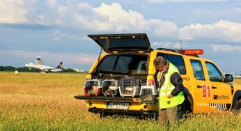 Budapest Airport’s bird and wildlife protection specialists relocated 15 protected bird chicks to the safety of the Hortobágy National Park