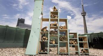 Fairmont Hotels & Resorts introduces first pollinator bee hotel at Toronto’s Fairmont Royal York