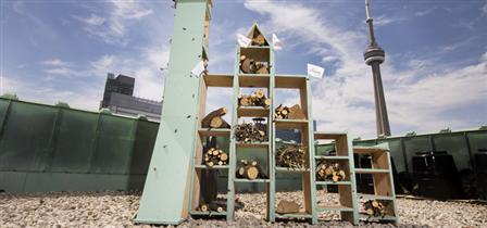 Fairmont Hotels & Resorts introduces first pollinator bee hotel at Toronto’s Fairmont Royal York