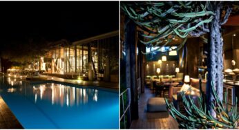 Singita partners with New Southern Energy to transfer its first South African lodge in the Kruger National Park onto solar power