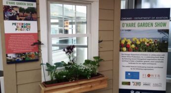 The Chicago Department of Aviation celebrates “Earth Week” with the installation of garden exhibits at O’Hare International Airport