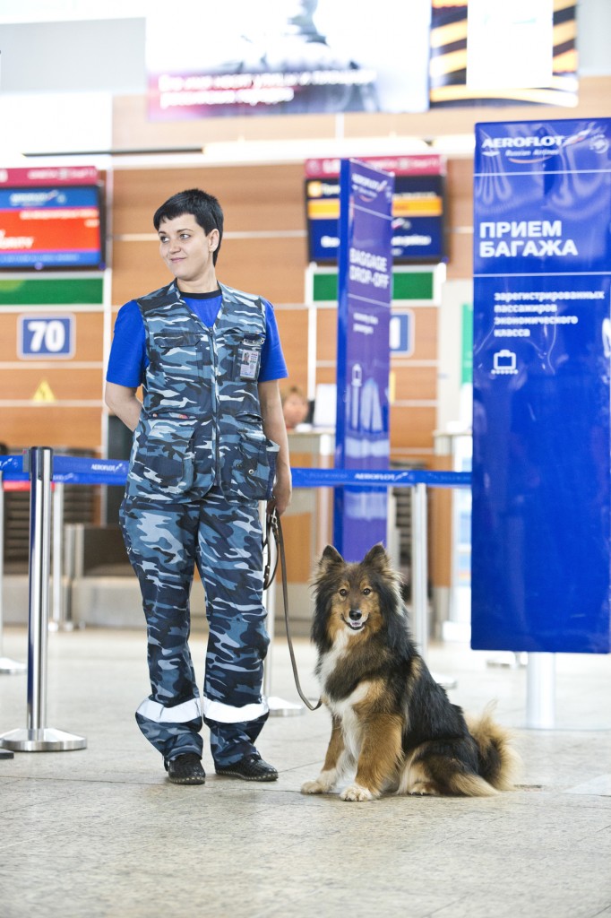 Aeroflot announces scientific breakthrough in its security dogs unit to detect explosive and dangerous substances 