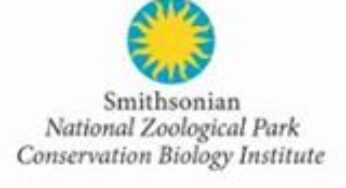 Smithsonian Conservation Biology Institute scientists: bigger trees suffer the most during droughts, regardless of location or forest type