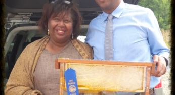 Sweet Beginnings won Illinois State Fair Blue Ribbon award for its honeycomb produced at O’Hare International Airport