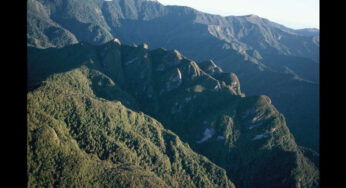 Pike29 Memorial Track to become the 10th in New Zealand’s Great Walks