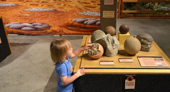 Travel Alberta: TINY TITANS: Dinosaur Eggs and Babies exhibition at the Philip J. Currie Dinosaur Museum from February 28 until August 2016