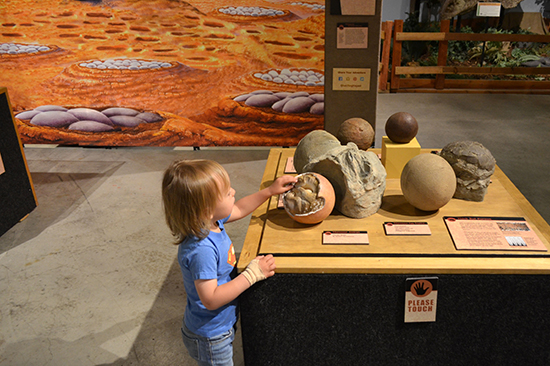 Travel Alberta: TINY TITANS: Dinosaur Eggs and Babies exhibition at the Philip J. Currie Dinosaur Museum from February 28 until August 2016 