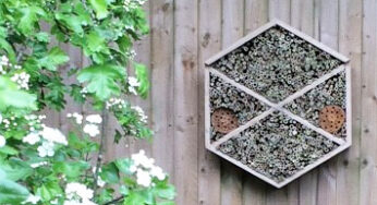 Bristol Airport installs ‘bee bed and breakfast’ to enhance biodiversity on and around the site