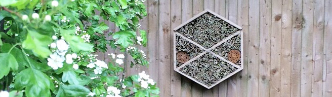 Bristol Airport installs ‘bee bed and breakfast’ to enhance biodiversity on and around the site