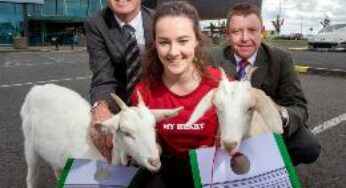 Biggest multi species airlift ever from Ireland ‘Bóthar Ark’ to take flight from Shannon Airport on October 10th