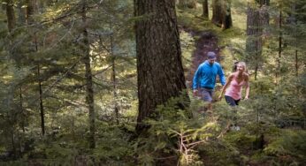 Whistler Blackcomb announces new uphill hiking experience, The Blackcomb Ascent Trails