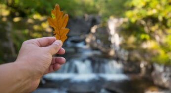 VisitScotland: plan your forest adventure with new e-book Autumn Adventures in Scotland