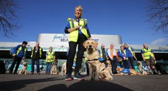 Guide Dogs in-training and their Puppy Walkers visit George Best Belfast City Airport