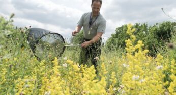 Heathrow’s biodiversity engineers uncover the 3,000th species residing in the landside areas of the airport