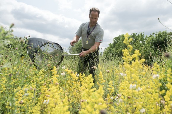 Heathrow’s biodiversity engineers uncover the 3,000th species residing in the landside areas of the airport