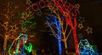 ZooLights—powered by Pepco twinkles from Nov. 24 through Jan. 1, 2018 at Smithsonian’s National Zoo