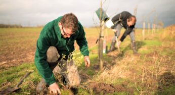 AccorHotels launches funding platform to support agroforestry projects worldwide