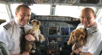 Southwest Airlines and Lucky Dog Animal Rescue partner to transport dozens of impacted animals from Puerto Rico in the aftermath of Hurricane Maria