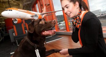 easyJet teams up with house and pet sitting business, TrustedHousesitters to make it easier for pet owners and animal lovers to travel