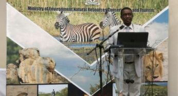 Botswana updates its Tourism Satellite Account with the technical support of UNWTO