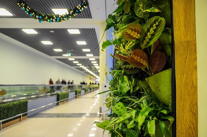 Airport Sheremetyevo unveils the results of “Natural decor in interiors of passenger terminals” project on the International Earth Day