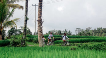 Airbnb launches an initiative to drive local, authentic and sustainable tourism in countries and cities across the globe