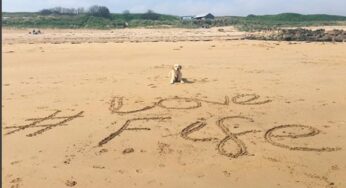 Fife Council hosts VisitScotland’s Ambassadog, George the Golden Retriever and his owners to a pawsome break in Fife