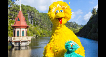 New Zealand: Big Bird visits Wellington’s Zealandia Eco-sanctuary