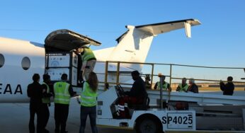 Air Partner successfully transports a lion on behalf of the Born Free Foundation